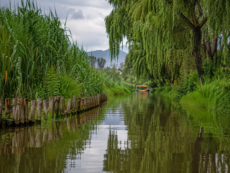 A narrow green waterway lined with tall reeds and willow trees, wooden posts along the bank and a single painted boat far off